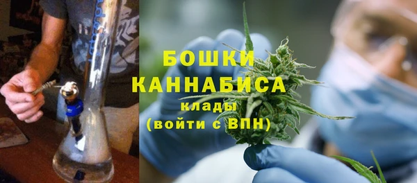 молекула духа Дмитровск