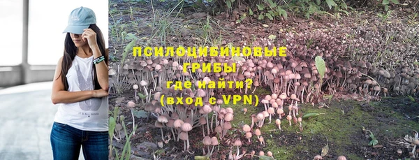 твердый Дмитриев
