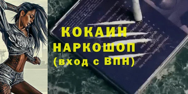 твердый Дмитриев