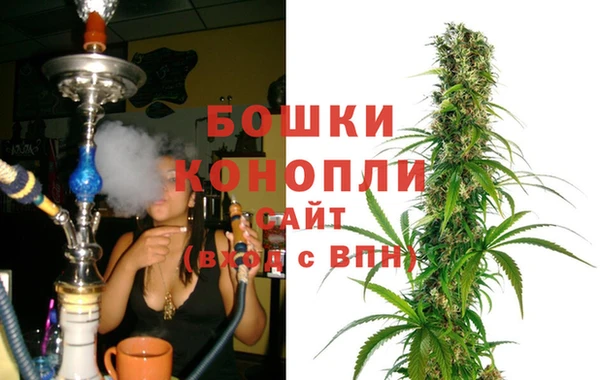 молекула духа Дмитровск