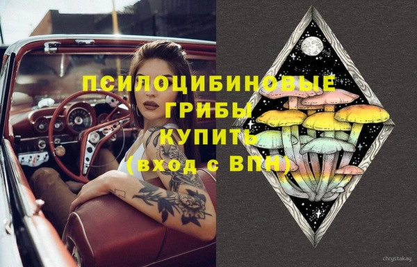 молекула духа Дмитровск