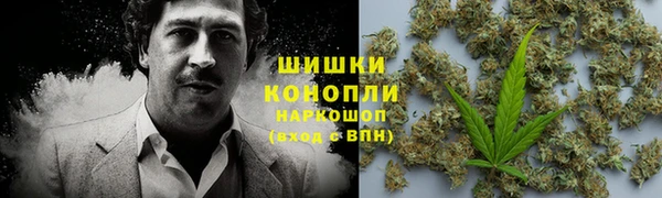 твердый Дмитриев