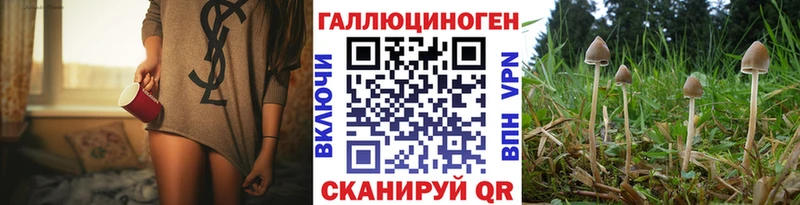 сколько стоит Сунжа Галлюциногенные грибы Cubensis