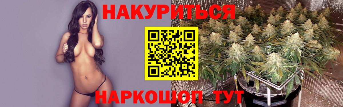Сунжа  Каннабис планчик  Шишки марихуана OG Kush  МАРИХУАНА MAZAR  Вход с VPN  МАРИХУАНА VHQ 